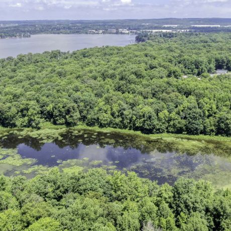 aerial view of pond and trees